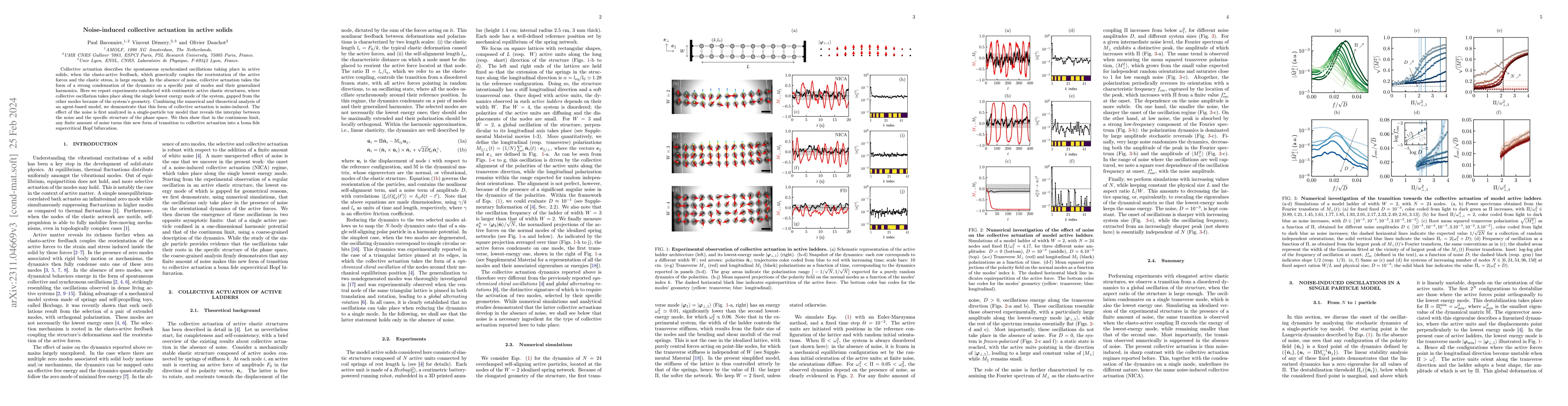 Thumbnail for Noise-Induced Collective Actuation in Active Solids