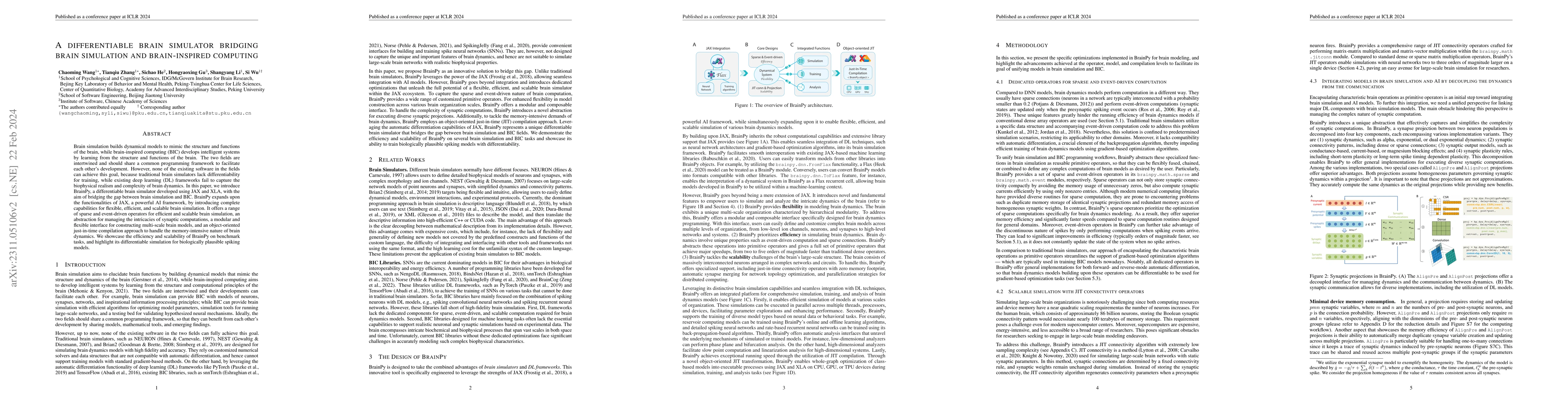 Thumbnail for A differentiable brain simulator bridging brain simulation and
  brain-inspired computing