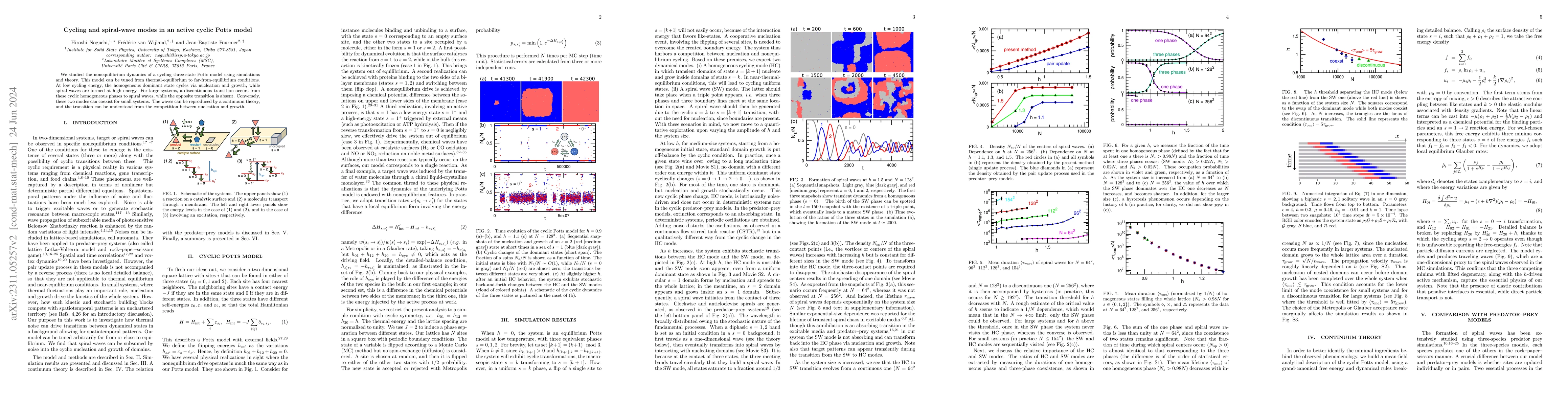 Thumbnail for Cycling and spiral-wave modes in an active cyclic Potts model