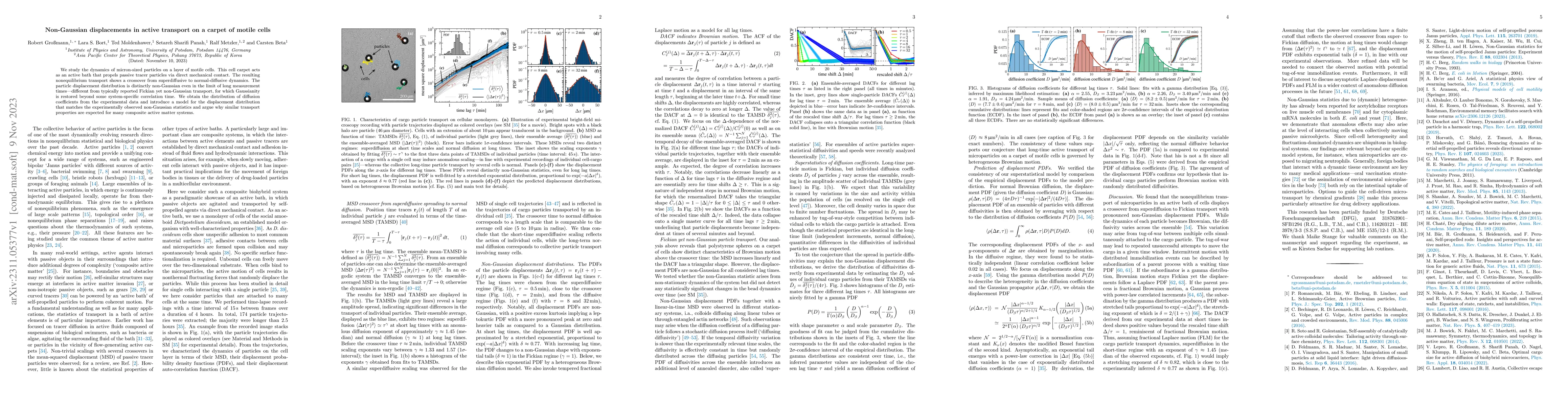 Thumbnail for Non-Gaussian displacements in active transport on a carpet of motile
  cells