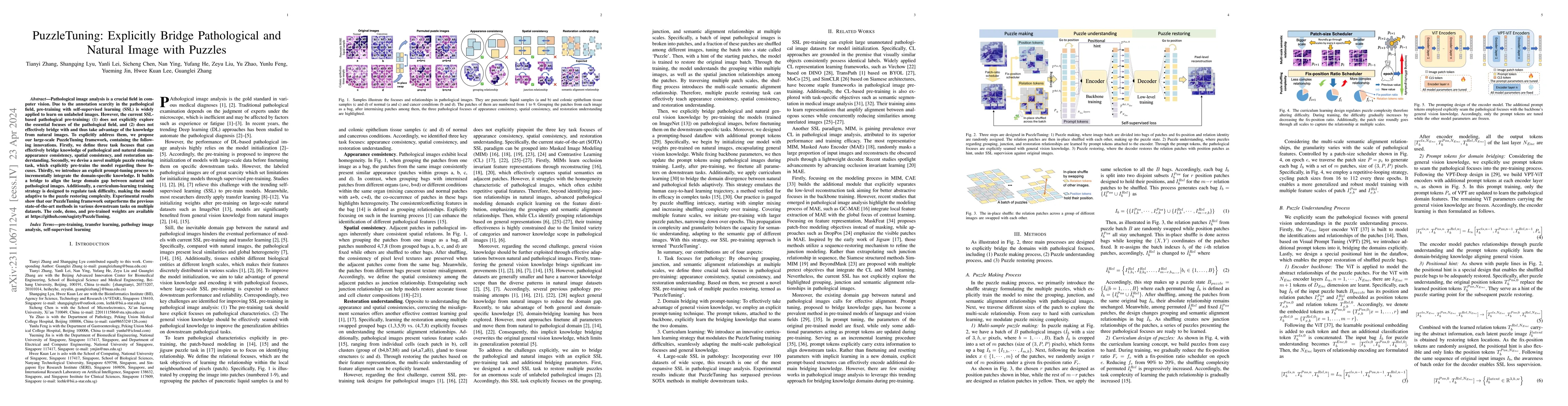 Thumbnail for PuzzleTuning: Explicitly Bridge Pathological and Natural Image with
  Puzzles
