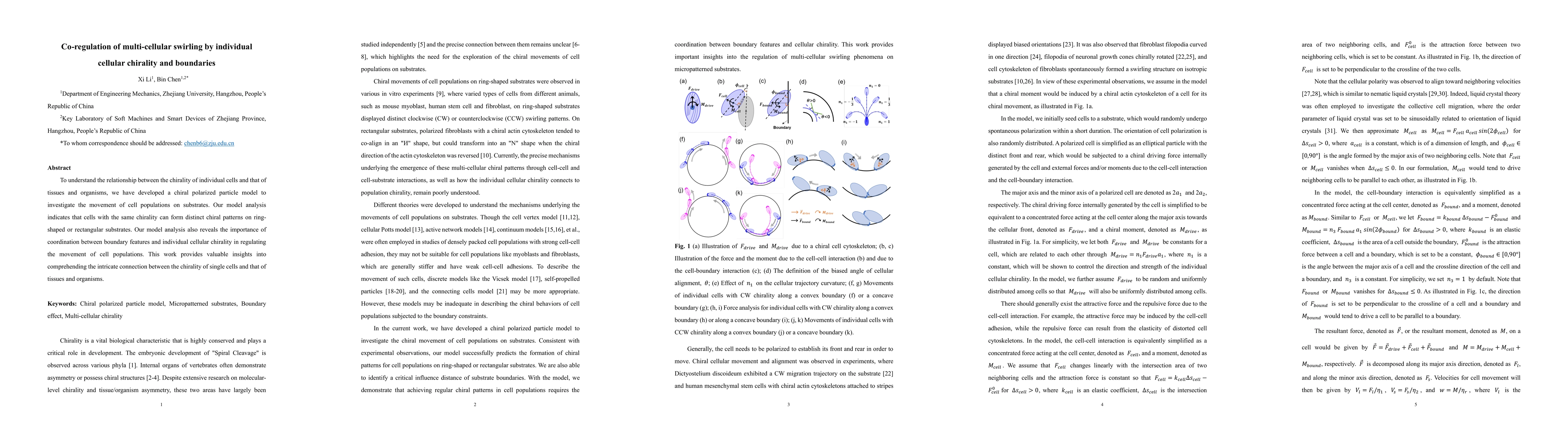 Thumbnail for Co-regulation of multi-cellular swirling by individual cellular
  chirality and boundaries