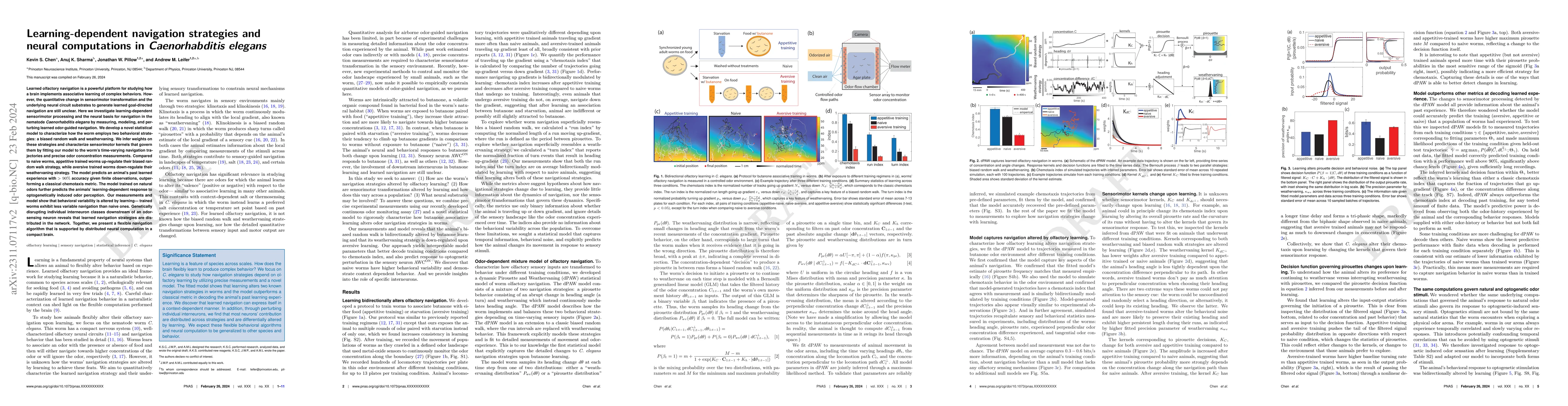 Thumbnail for Olfactory learning alters navigation strategies and behavioral
  variability in C. elegans