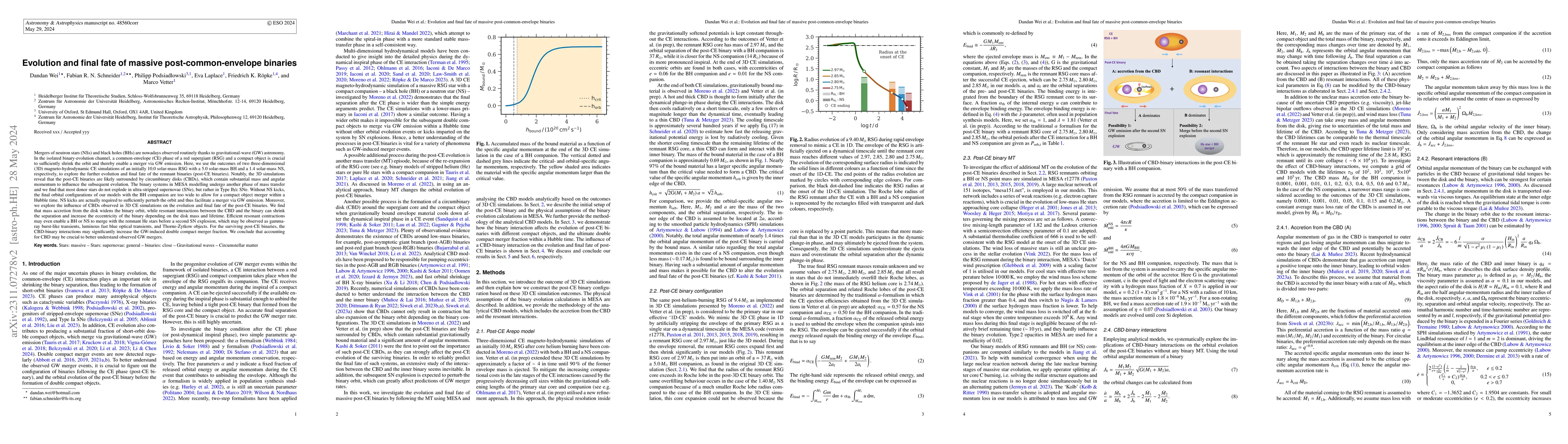 Thumbnail for Evolution and final fate of massive post-common-envelope binaries