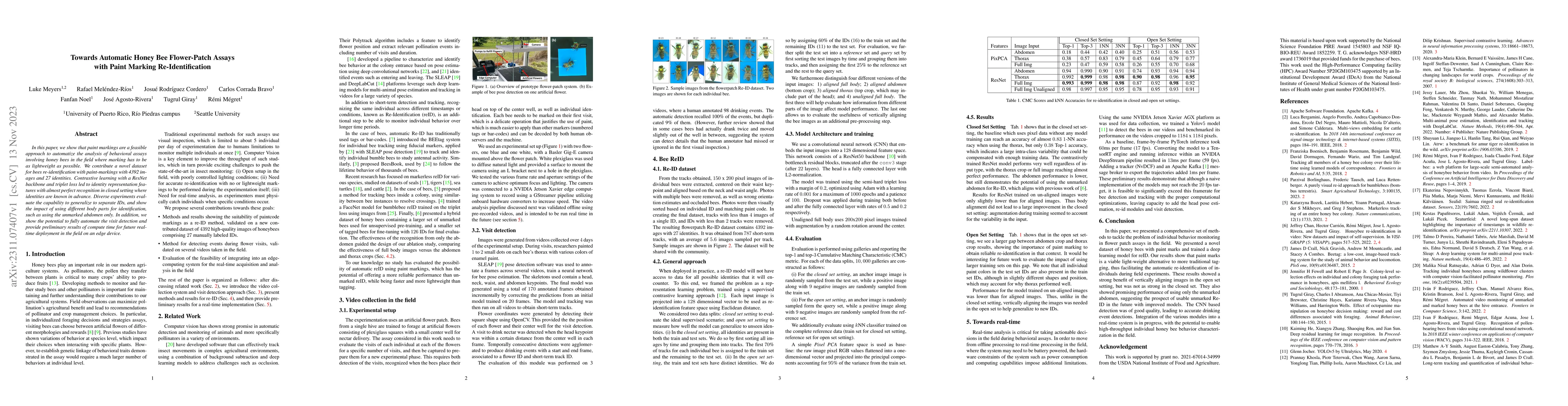 Thumbnail for Towards Automatic Honey Bee Flower-Patch Assays with Paint Marking
  Re-Identification