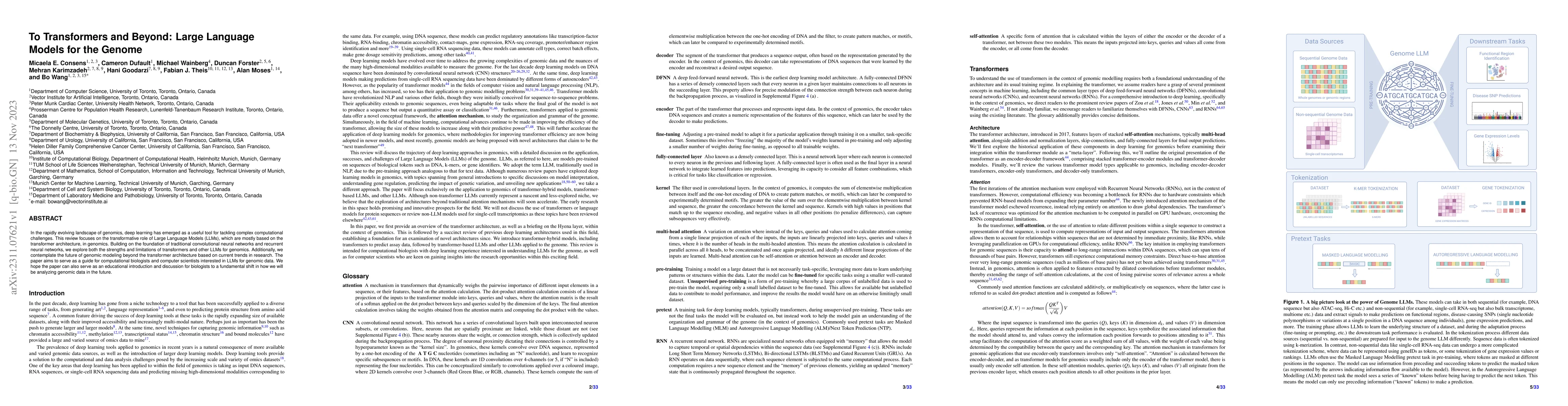 Thumbnail for To Transformers and Beyond: Large Language Models for the Genome