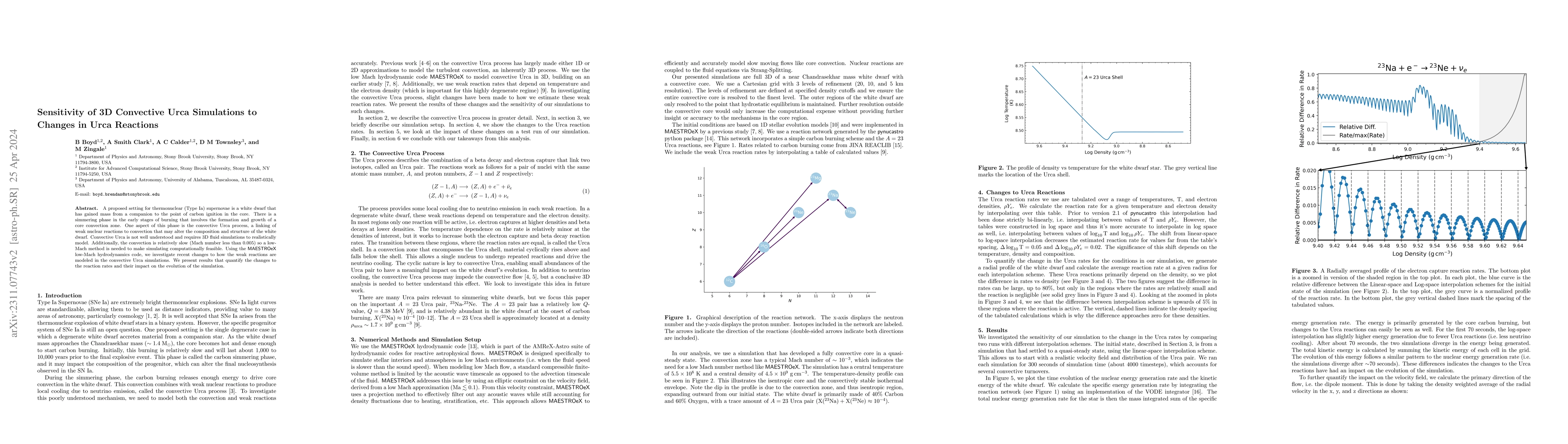 Thumbnail for Sensitivity of 3D Convective Urca Simulations to Changes in Urca
  Reactions