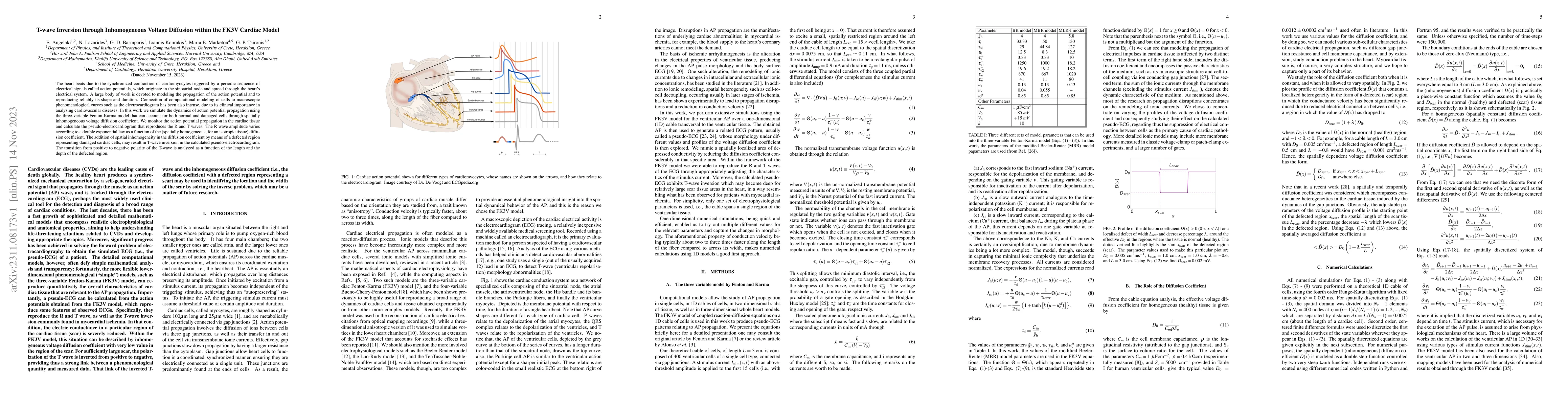 Thumbnail for T-wave Inversion through Inhomogeneous Voltage Diffusion within the FK3V
  Cardiac Model