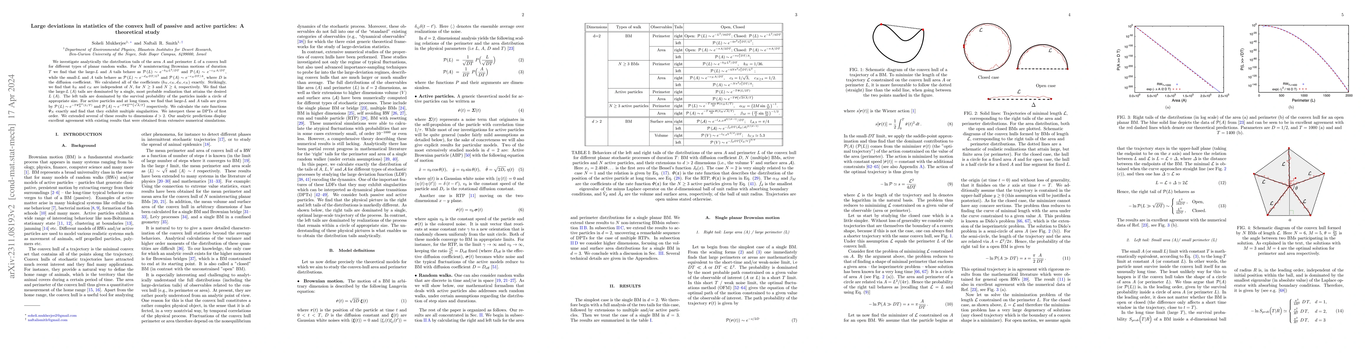 Thumbnail for Large deviations in statistics of the convex hull of passive and active
  particles: A theoretical study