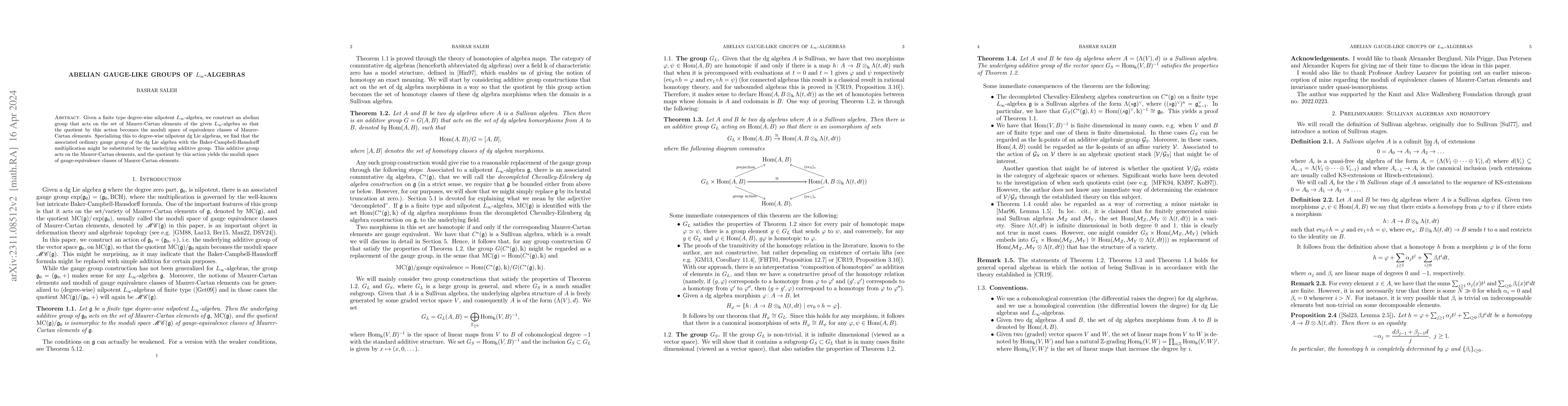 Thumbnail for Abelian gauge-like groups of $L_\infty$-algebras