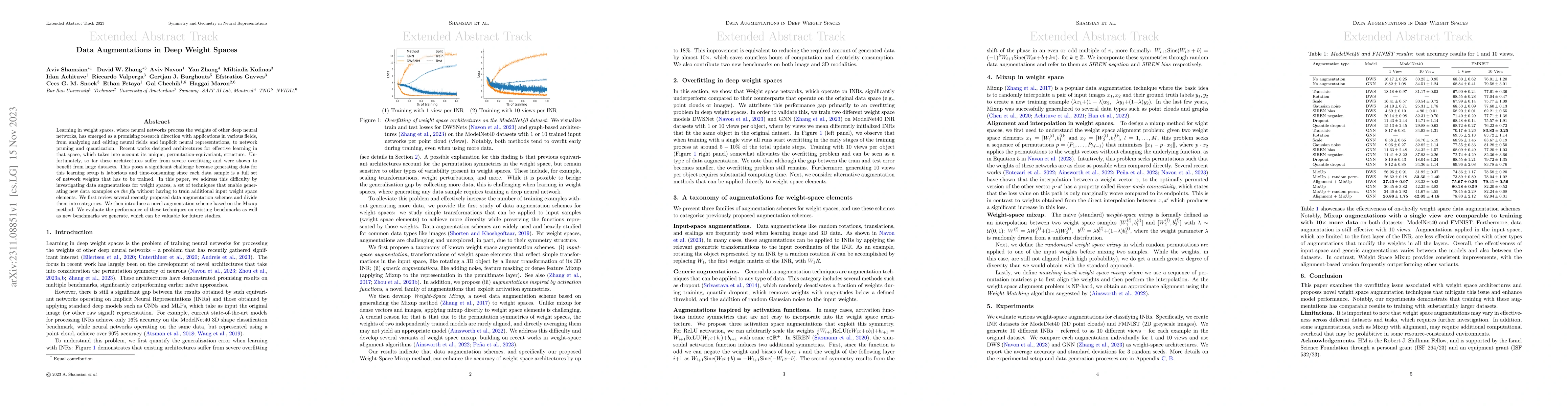 Thumbnail for Data Augmentations in Deep Weight Spaces
