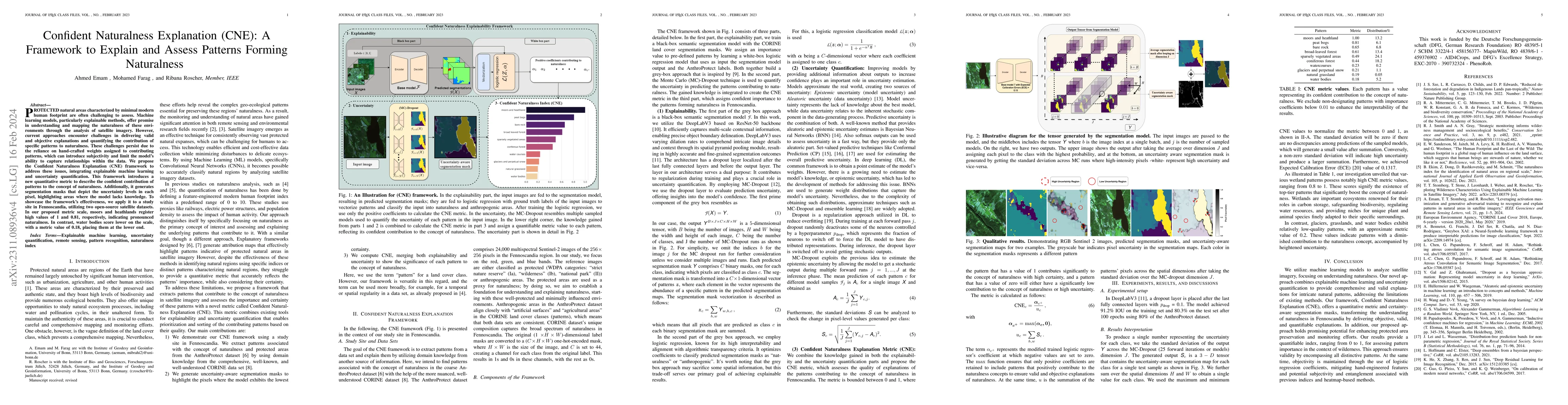 Thumbnail for Confident Naturalness Explanation (CNE): A Framework to Explain and
  Assess Patterns Forming Naturalness