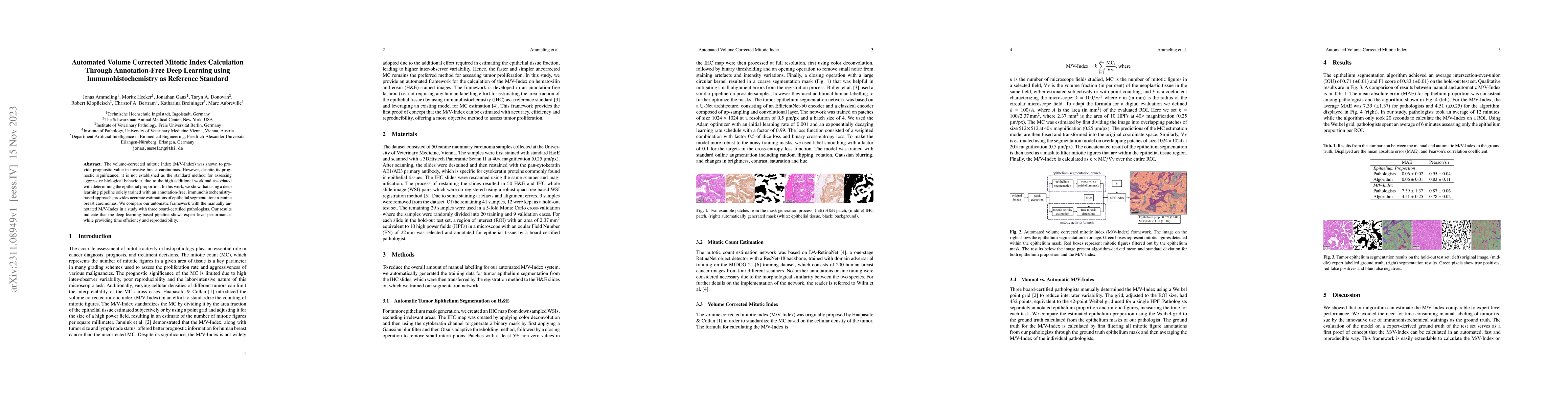Thumbnail for Automated Volume Corrected Mitotic Index Calculation Through
  Annotation-Free Deep Learning using Immunohistochemistry as Reference
  Standard
