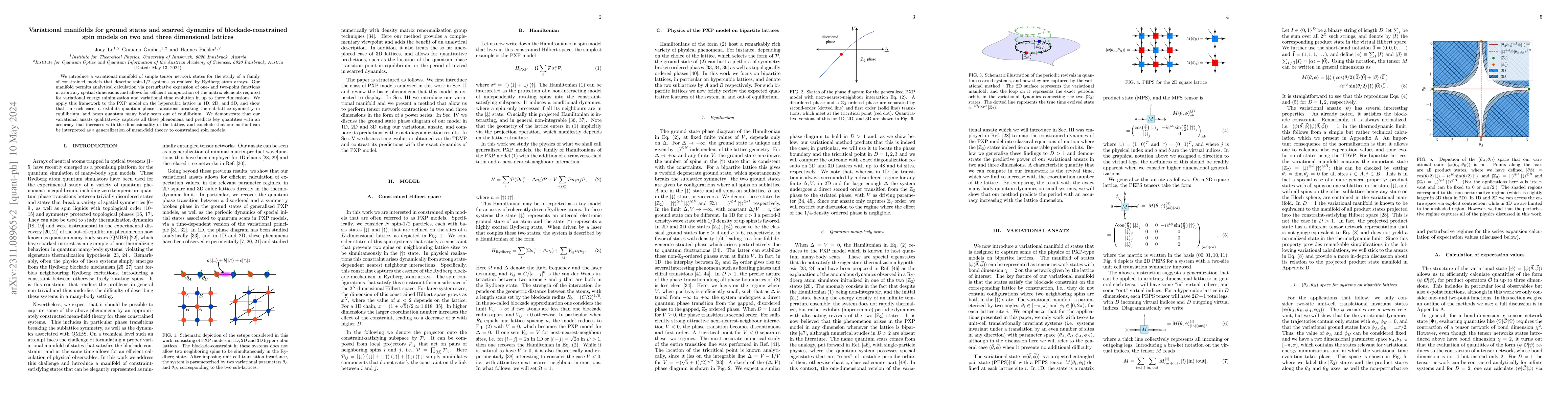 Thumbnail for Variational manifolds for ground states and scarred dynamics of
  blockade-constrained spin models on two and three dimensional lattices