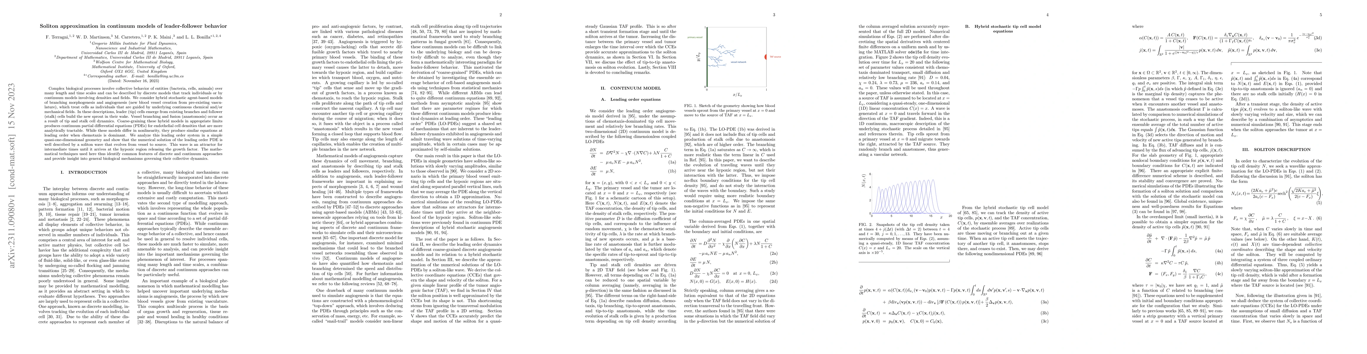 Thumbnail for Soliton approximation in continuum models of leader-follower behavior