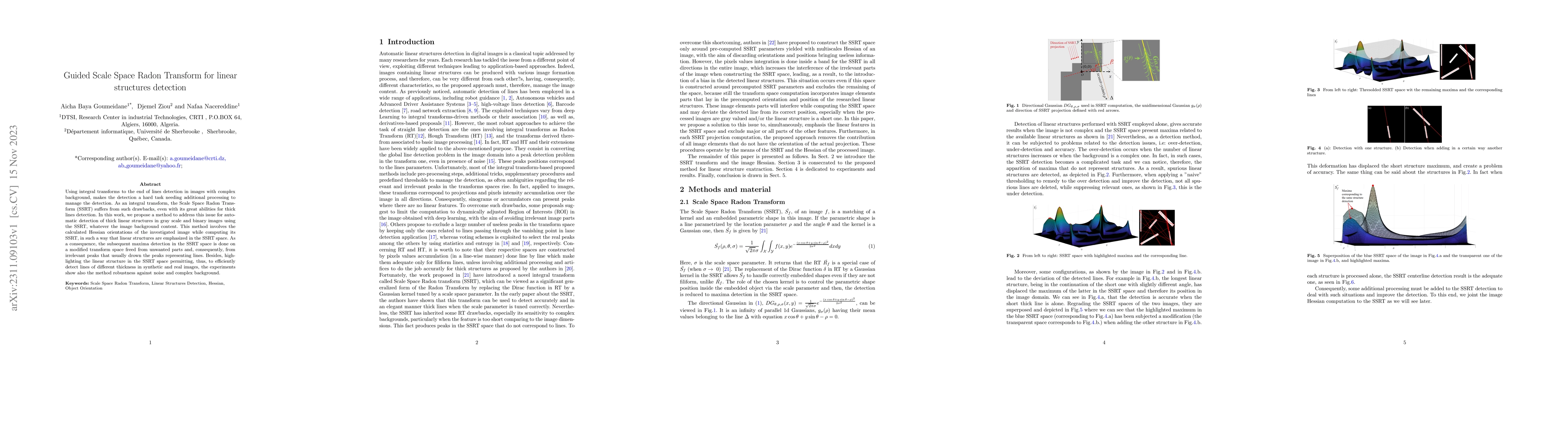 Thumbnail for Guided Scale Space Radon Transform for linear structures detection