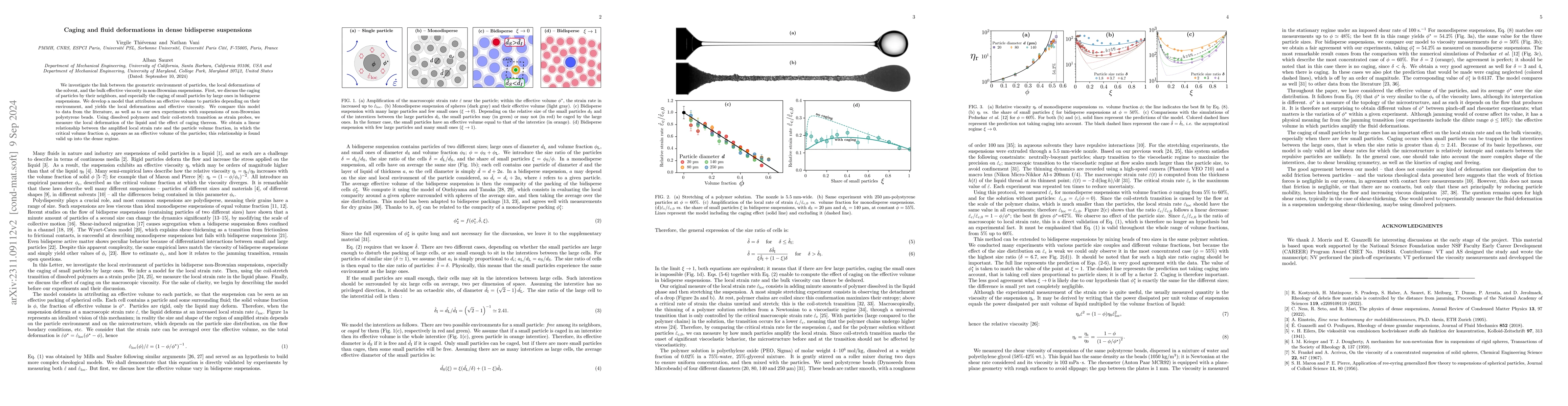 Thumbnail for Caging and fluid deformations in dense bidisperse suspensions
