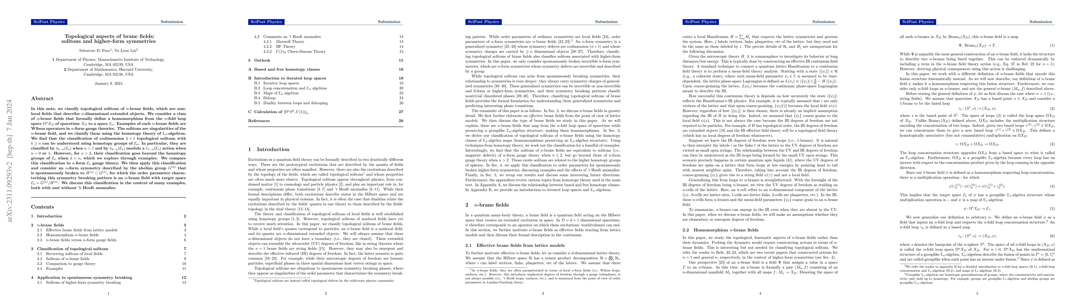 Thumbnail for Topological aspects of brane fields: solitons and higher-form symmetries