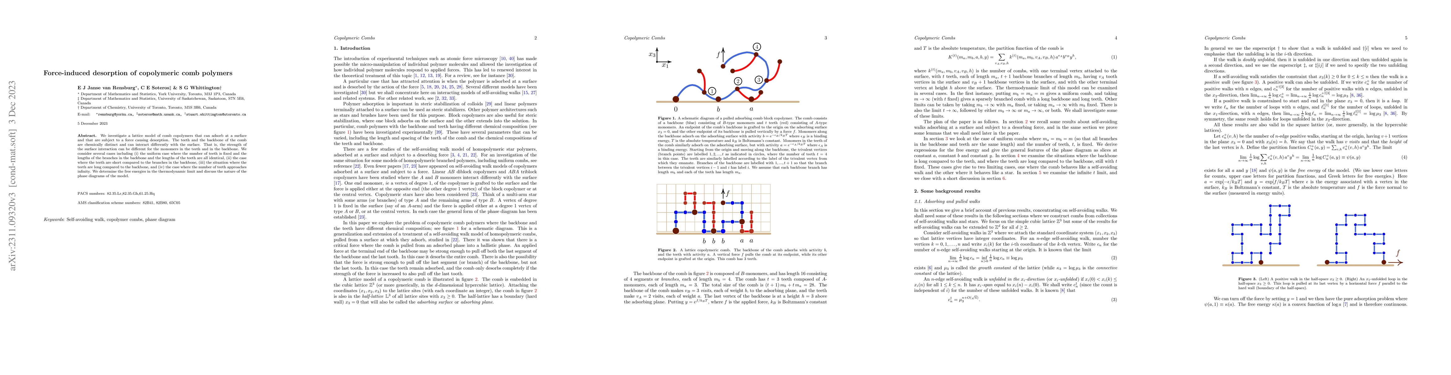 Thumbnail for Force-induced desorption of copolymeric comb polymers