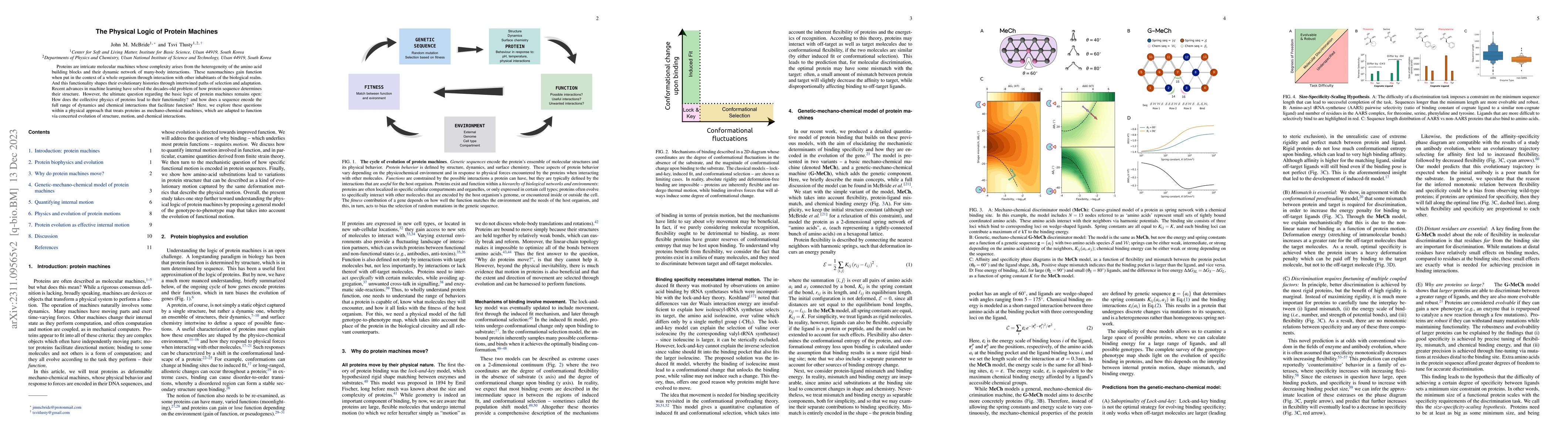 Thumbnail for The Physical Logic of Protein Machines