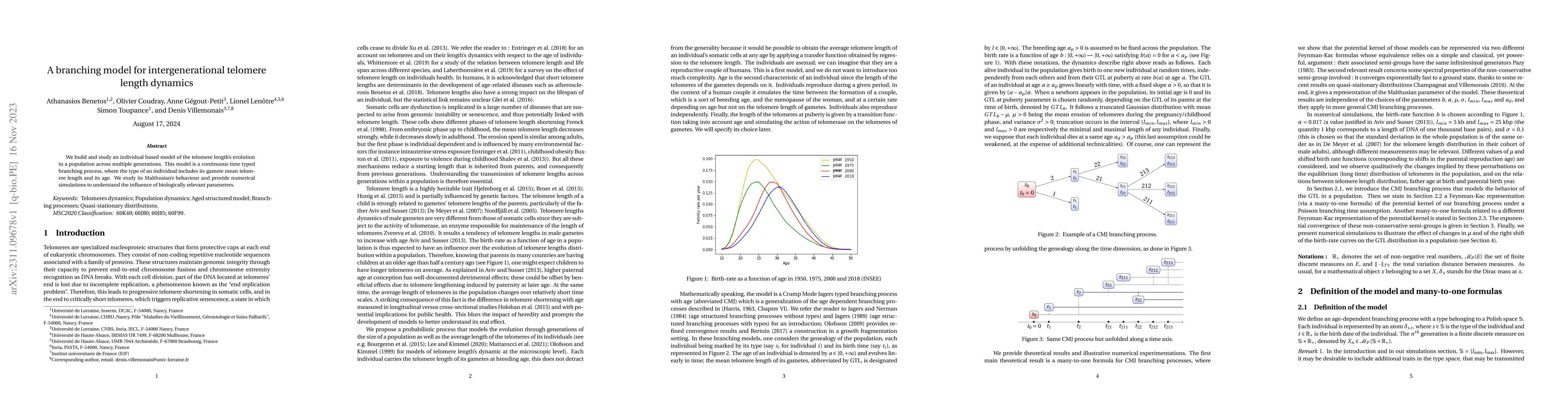 Thumbnail for A branching model for intergenerational telomere length dynamics