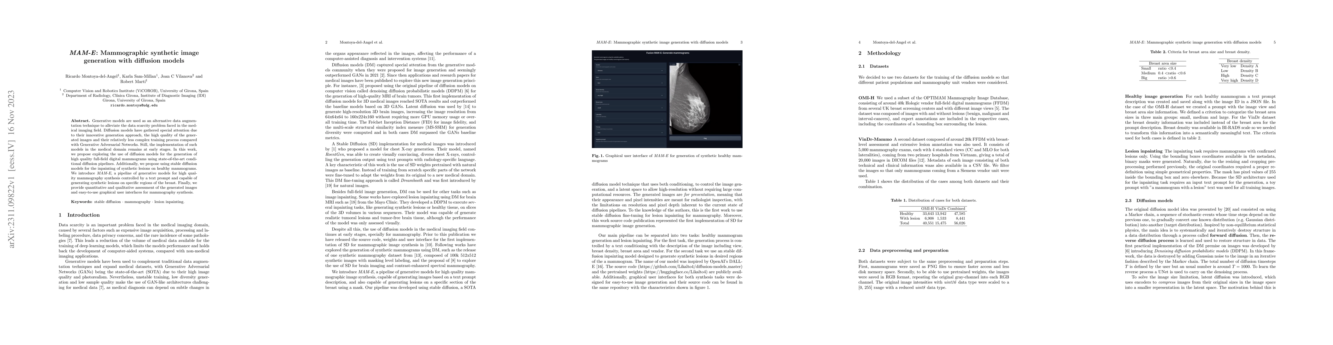 Thumbnail for MAM-E: Mammographic synthetic image generation with diffusion models