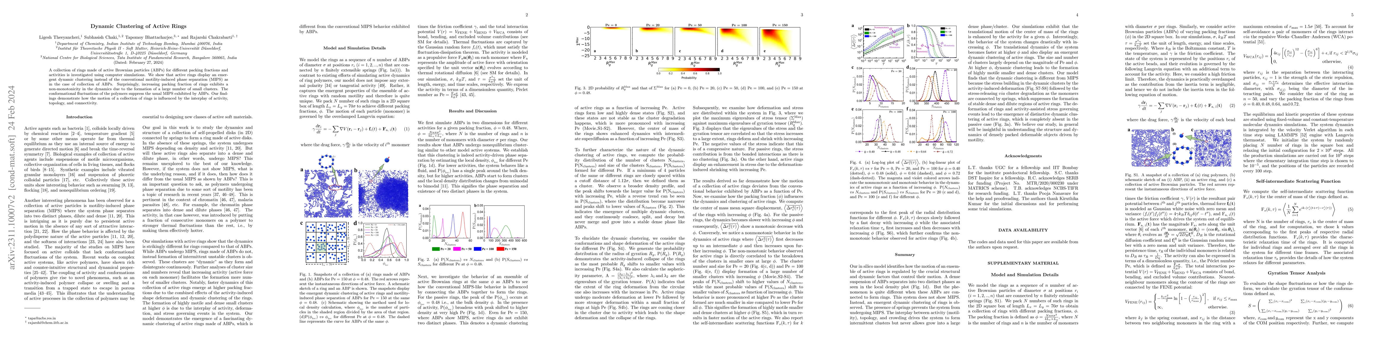 Thumbnail for Dynamic Clustering of Active Rings