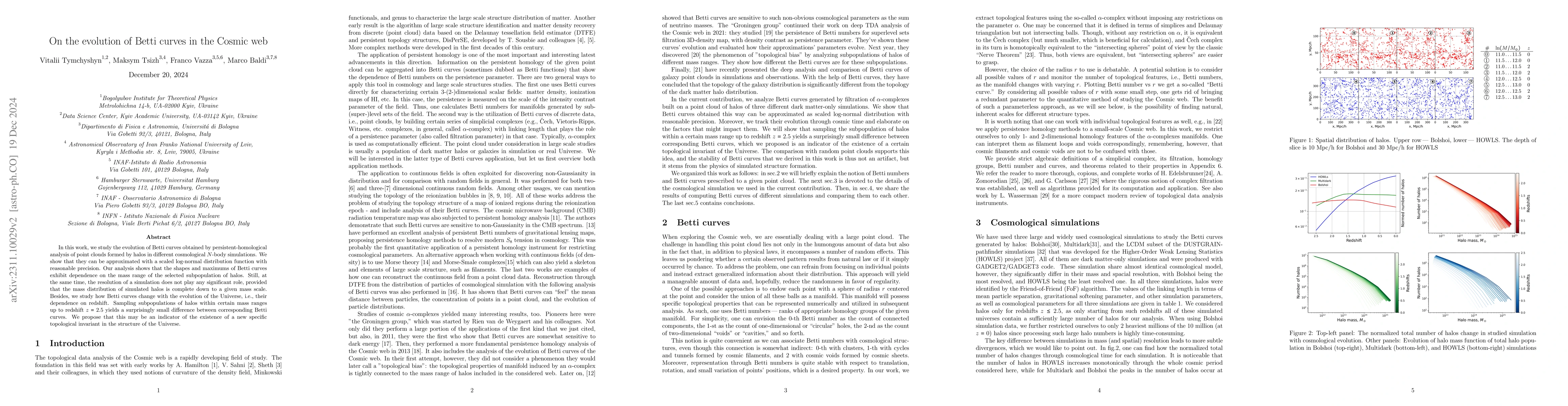 Thumbnail for On the evolution of Betti curves in the Cosmic web