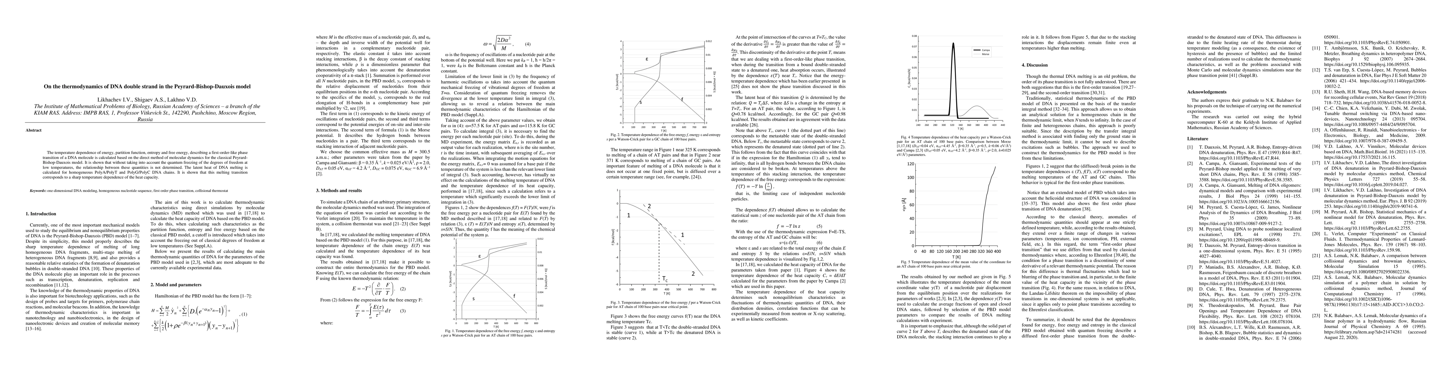 Thumbnail for On the thermodynamics of DNA in the Peyrard-Bishop-Dauxois model