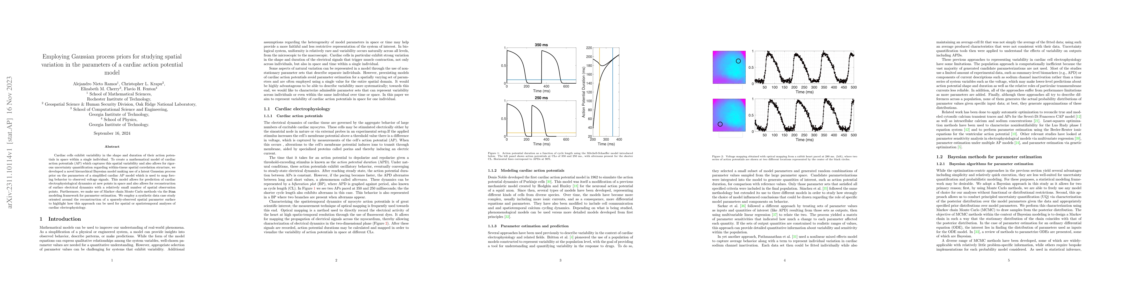 Thumbnail for Employing Gaussian process priors for studying spatial variation in the
  parameters of a cardiac action potential model