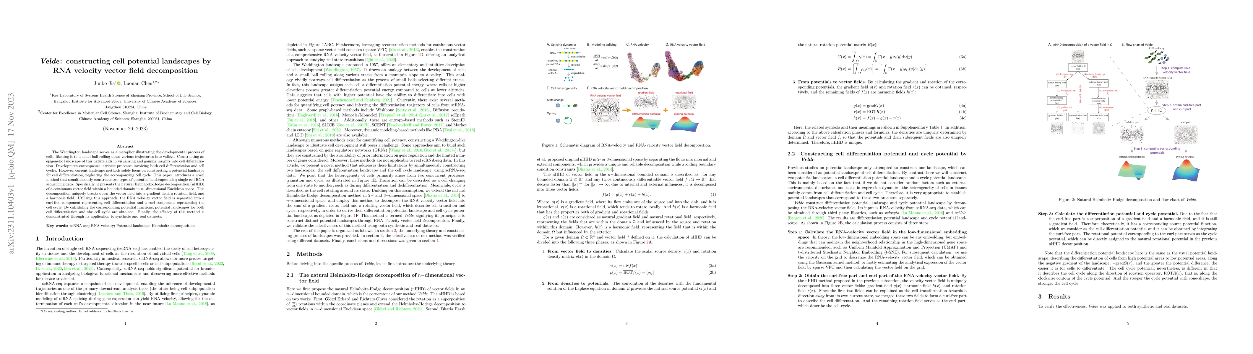 Thumbnail for Velde: constructing cell potential landscapes by RNA velocity vector
  field decomposition