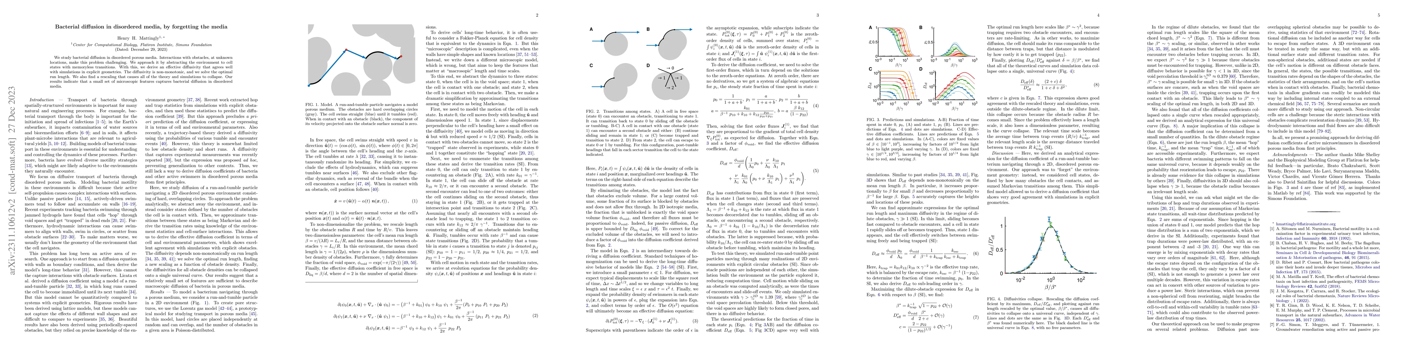 Thumbnail for Bacterial diffusion in disordered media, by forgetting the media