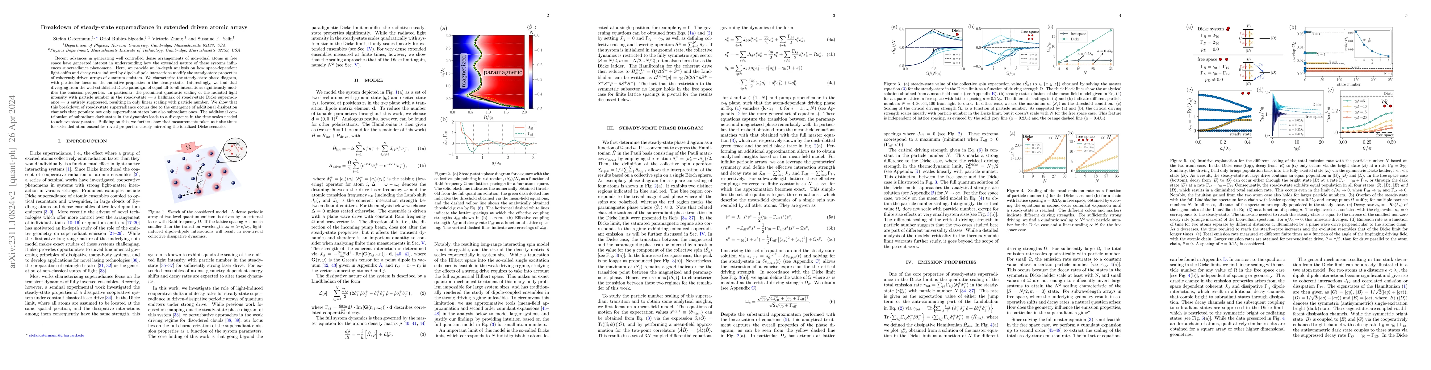 Thumbnail for Breakdown of steady-state superradiance in extended driven atomic arrays