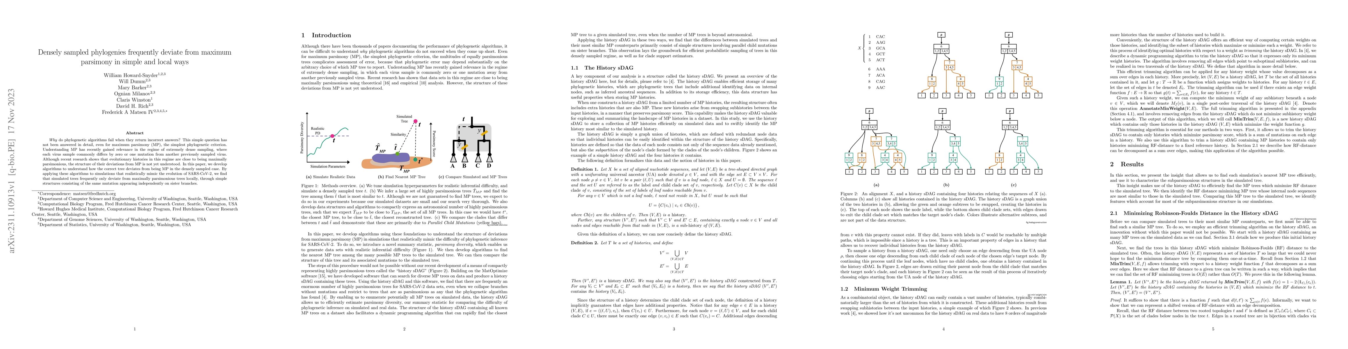 Thumbnail for Densely sampled phylogenies frequently deviate from maximum parsimony in
  simple and local ways