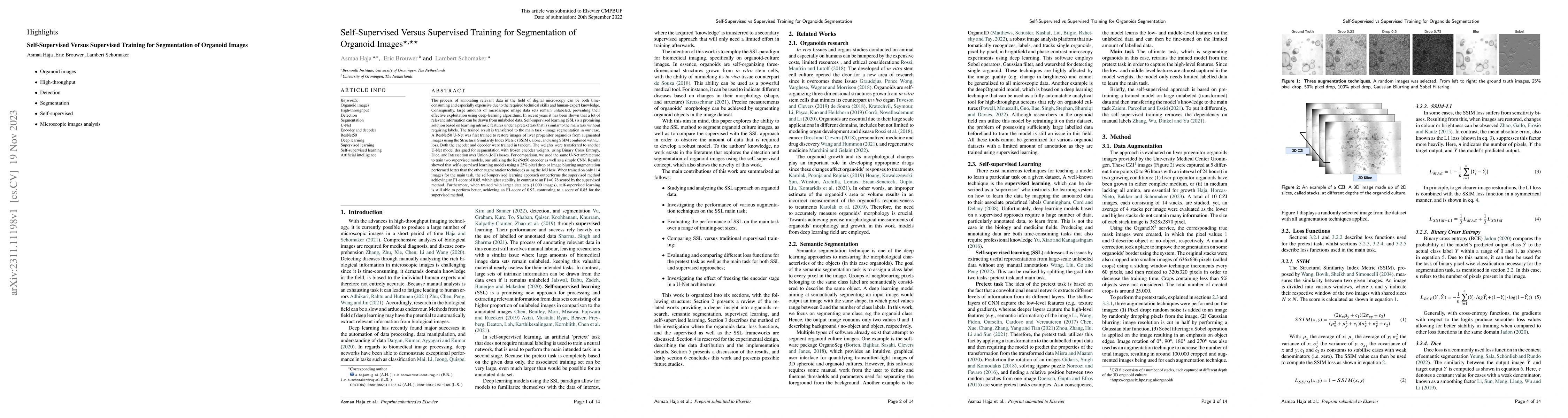 Thumbnail for Self-Supervised Versus Supervised Training for Segmentation of Organoid
  Images