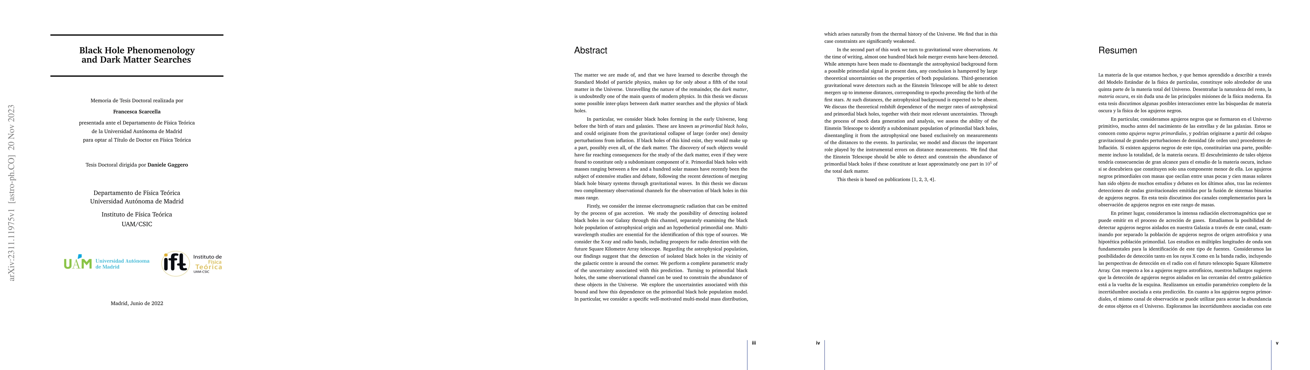 Thumbnail for Black Hole Phenomenology and Dark Matter Searches