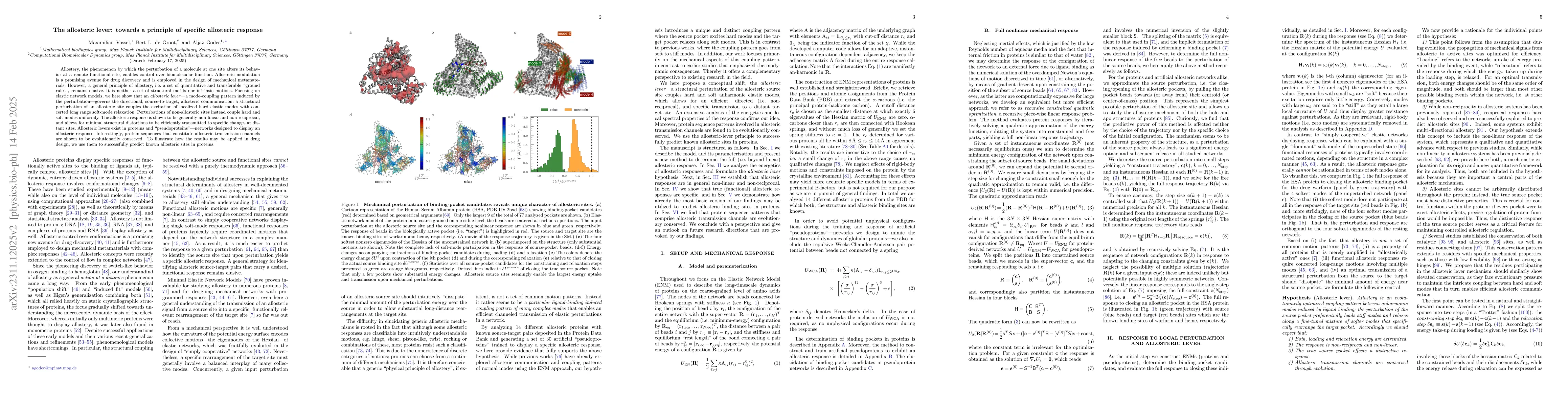 Thumbnail for The allosteric lever: towards a principle of specific allosteric
  response