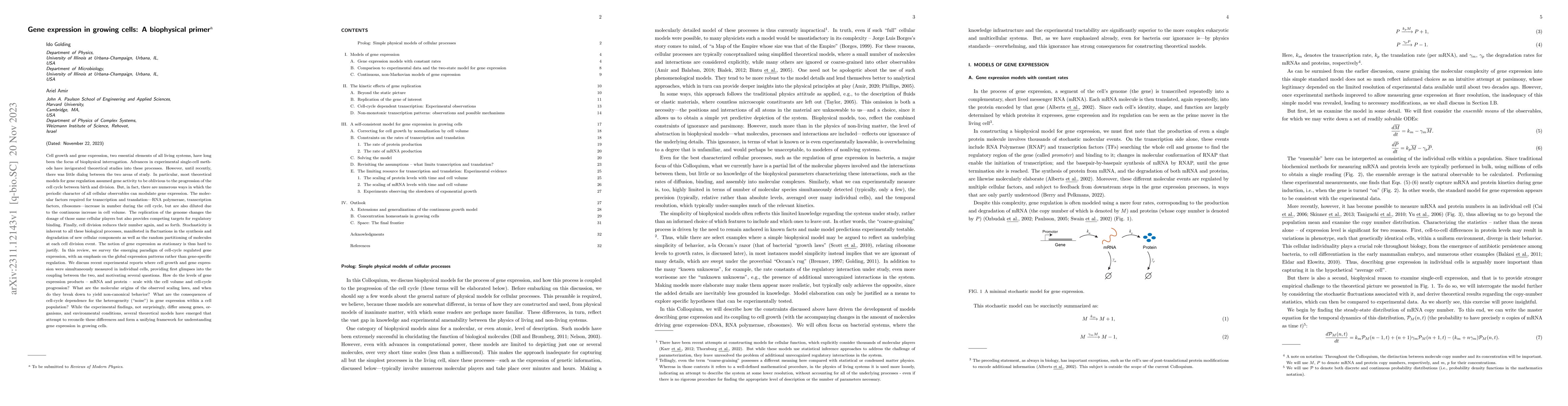Thumbnail for Gene expression in growing cells: A biophysical primer