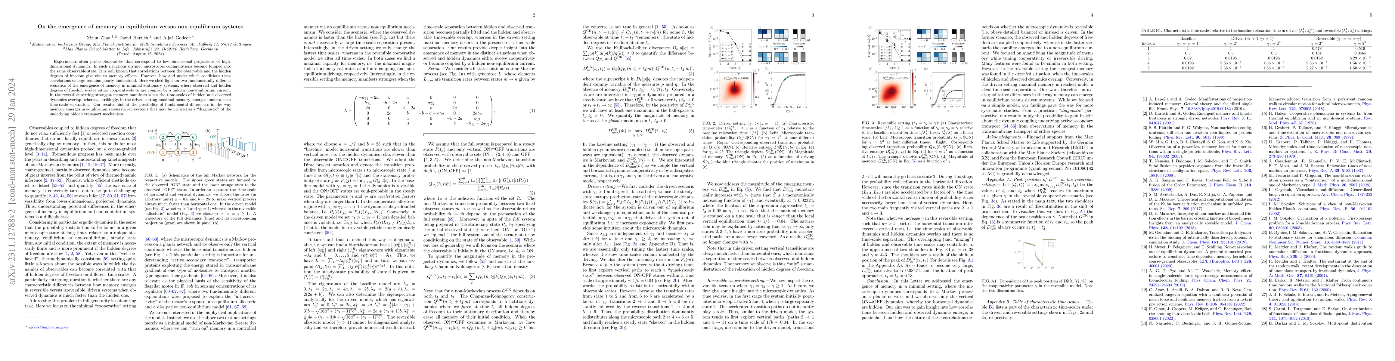 Thumbnail for On the emergence of memory in equilibrium versus non-equilibrium systems