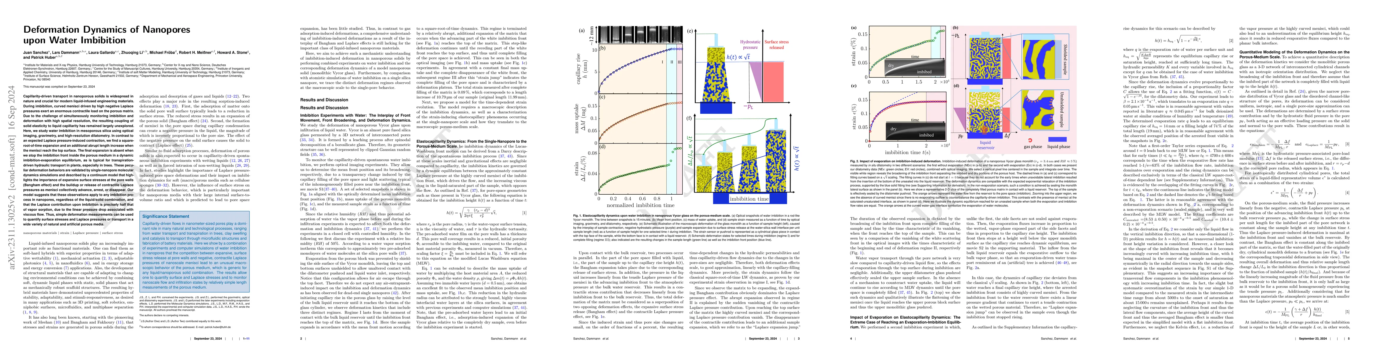 Thumbnail for Deformation Dynamics of Nanopores upon Water Imbibition