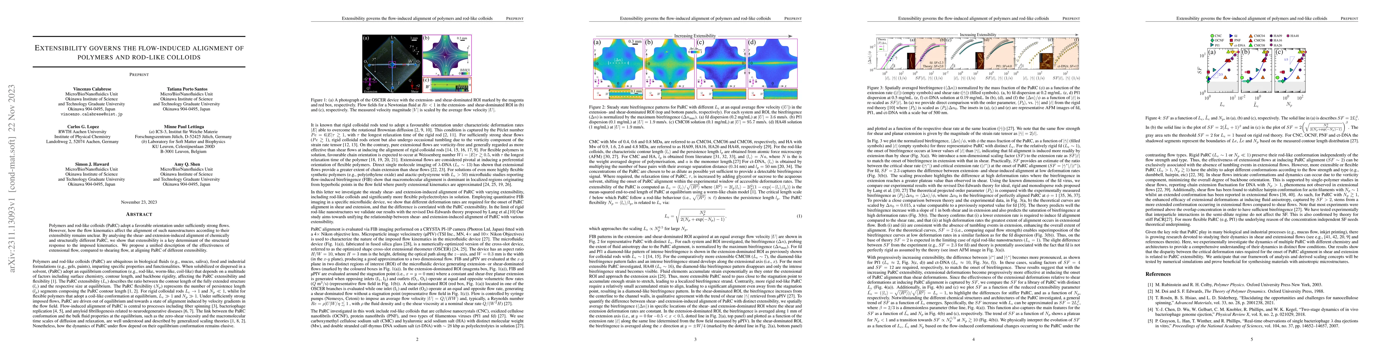 Thumbnail for Extensibility governs the flow-induced alignment of polymers and
  rod-like colloids