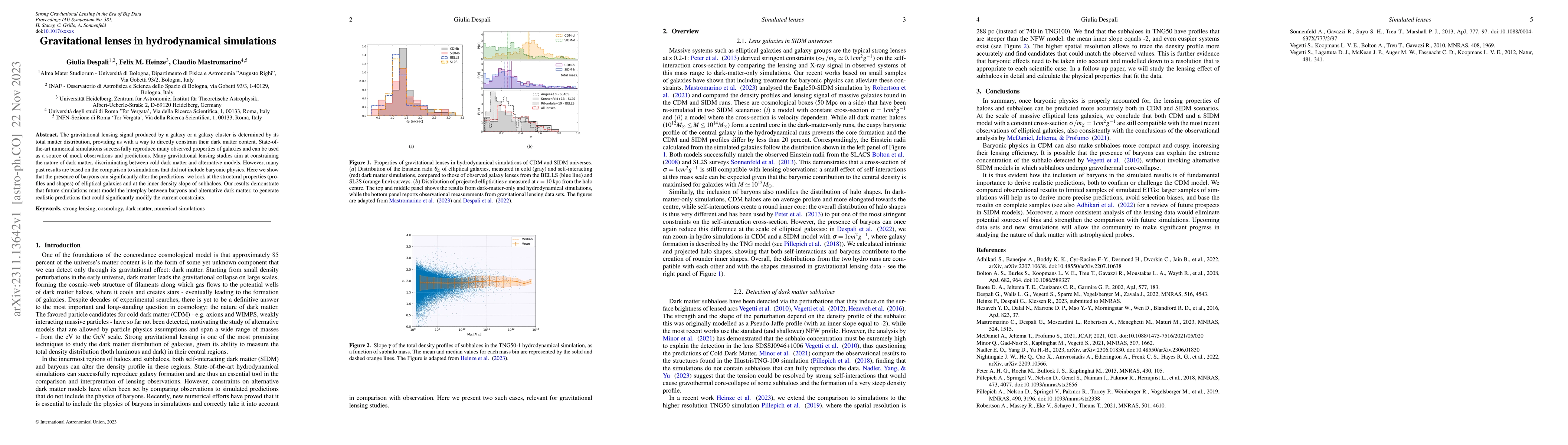 Thumbnail for Gravitational lenses in hydrodynamical simulations
