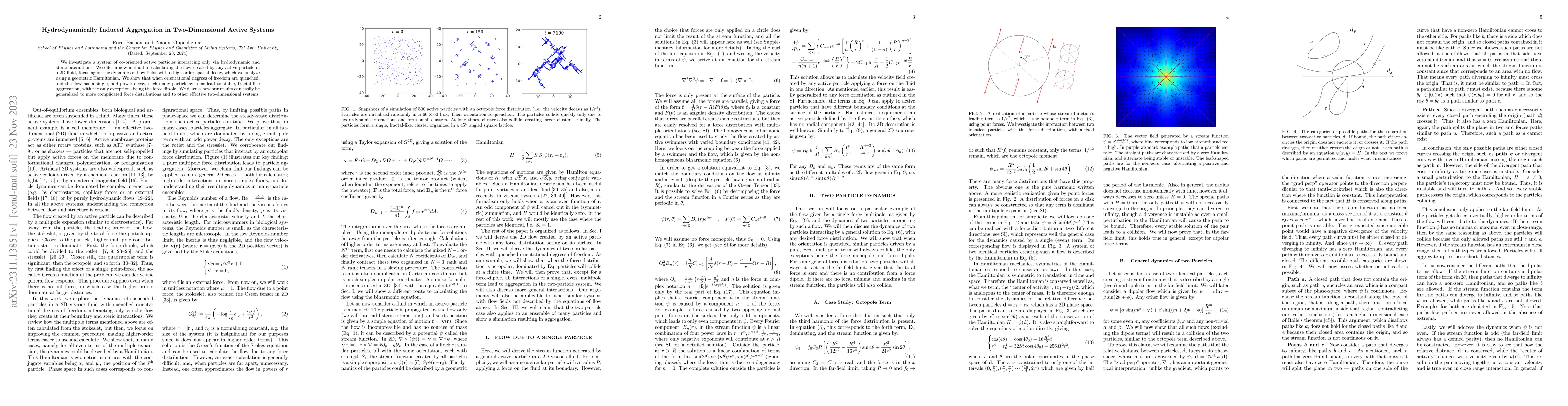 Thumbnail for Hydrodynamically Induced Aggregation in Two-Dimensional Active Systems