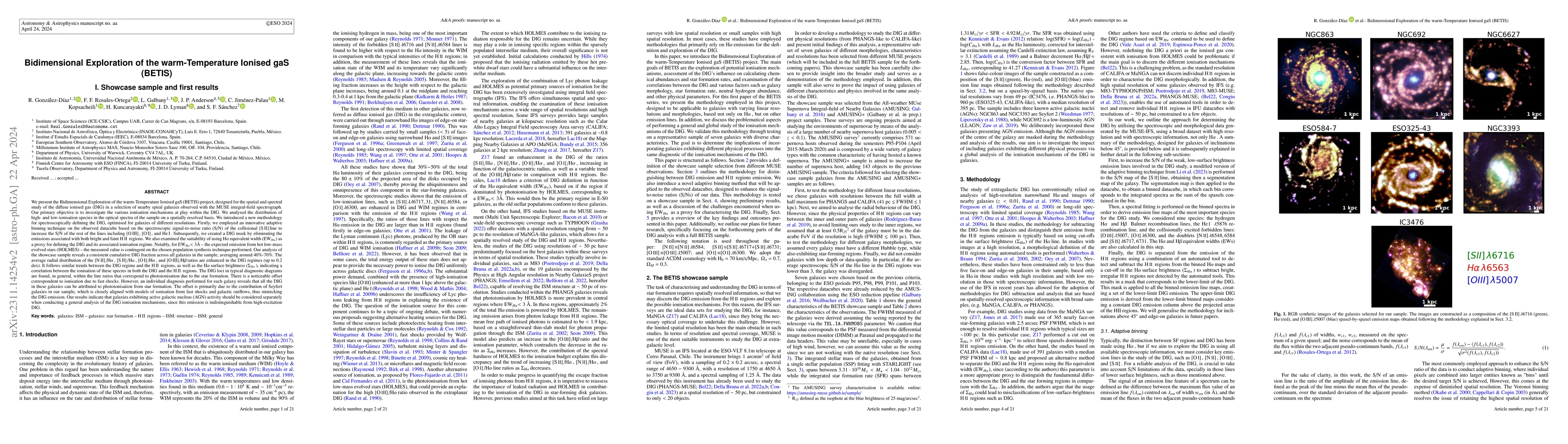 Thumbnail for Bidimensional Exploration of the warm-Temperature Ionised gaS (BETIS) I.
  Showcase sample and first results