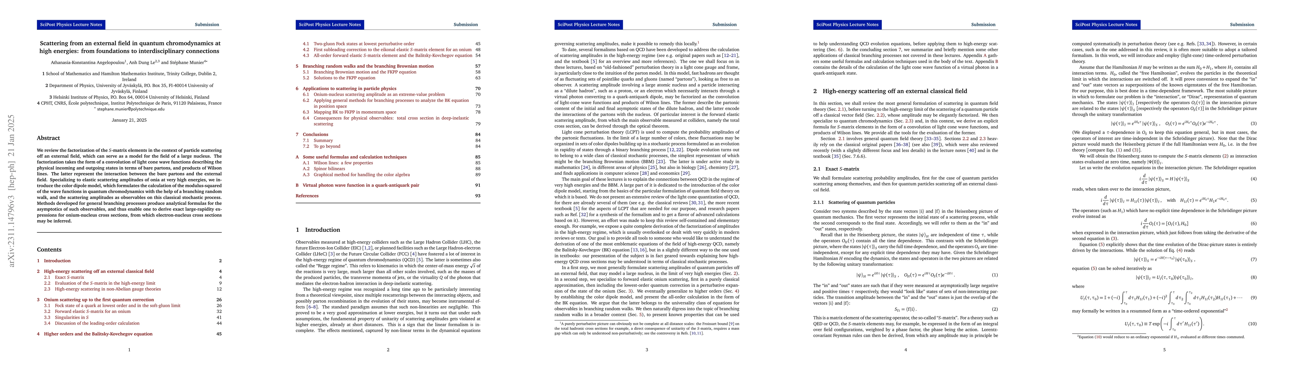 Thumbnail for Scattering from an external field in quantum chromodynamics at high
  energies: from foundations to interdisciplinary connections