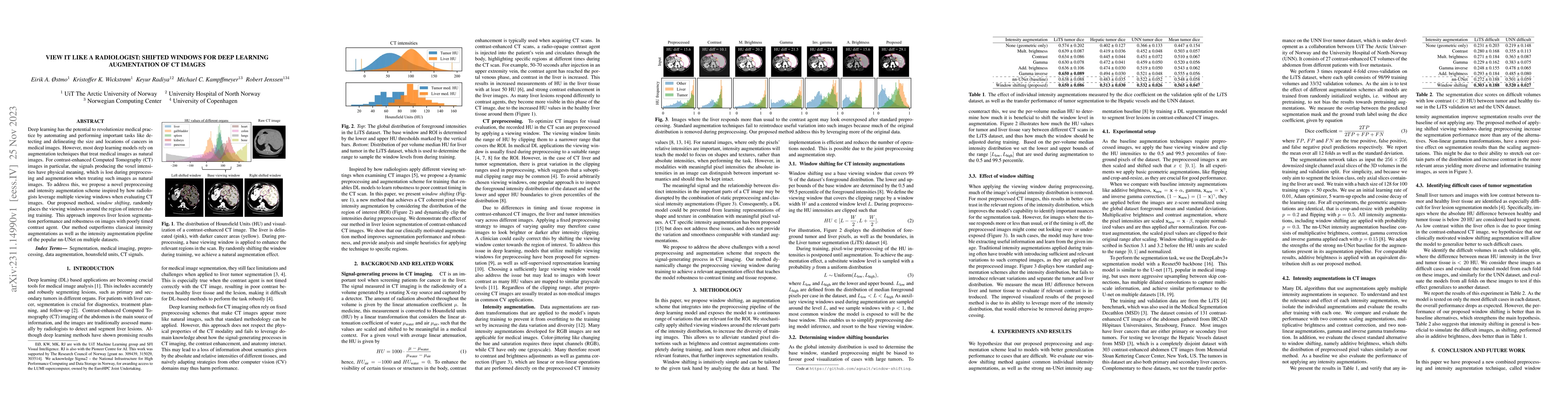Thumbnail for View it like a radiologist: Shifted windows for deep learning
  augmentation of CT images