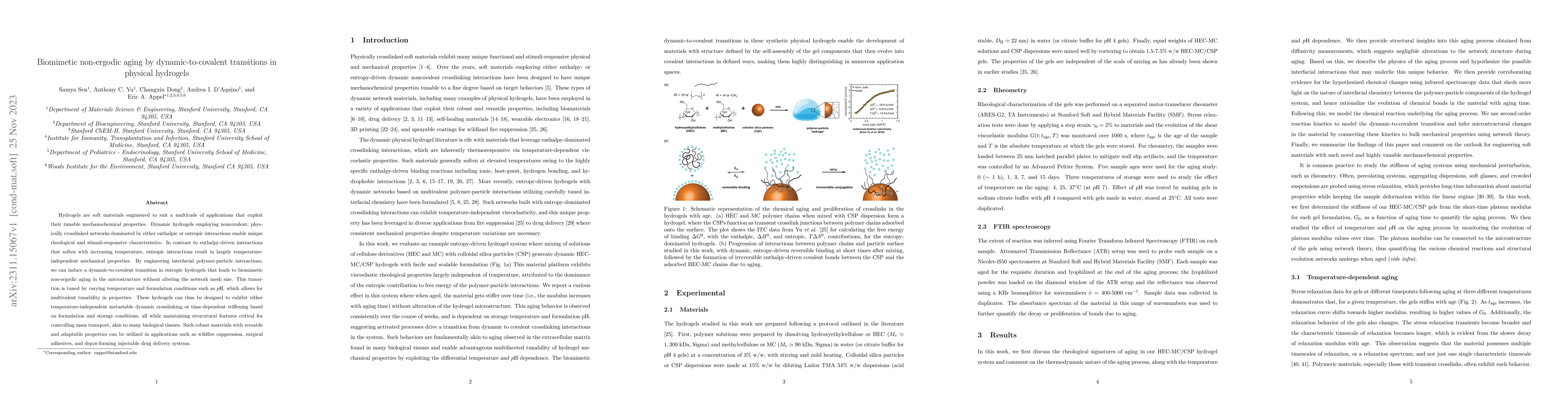 Thumbnail for Biomimetic non-ergodic aging by dynamic-to-covalent transitions in
  physical hydrogels