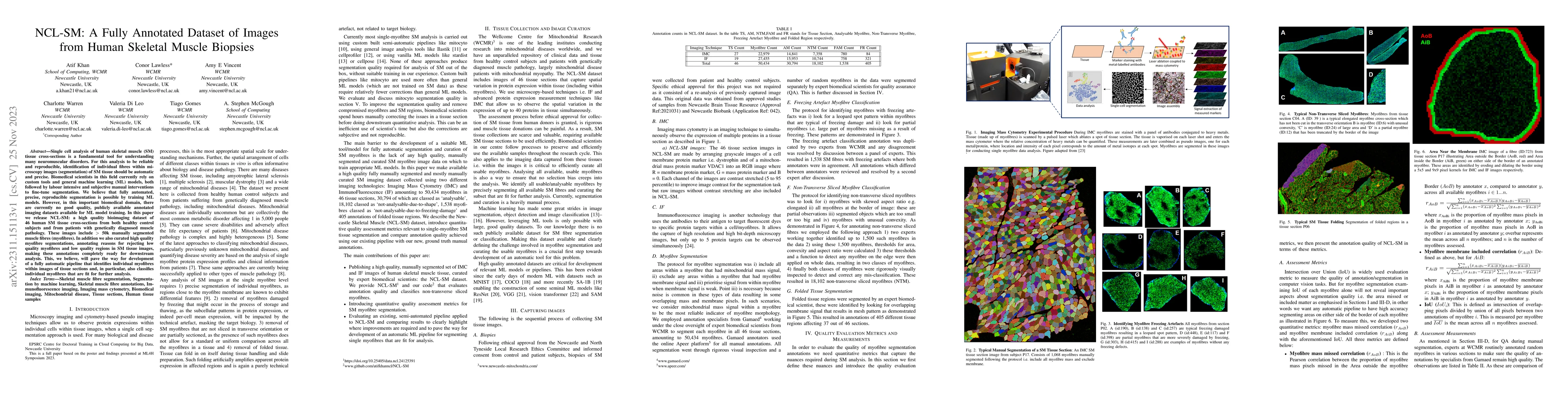 Thumbnail for NCL-SM: A Fully Annotated Dataset of Images from Human Skeletal Muscle
  Biopsies