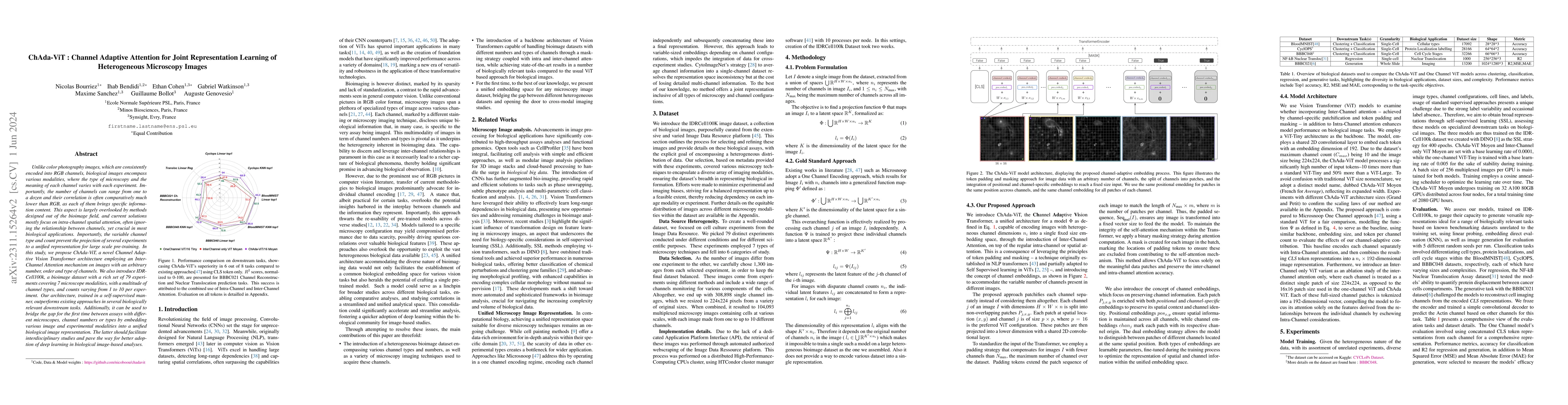Thumbnail for ChAda-ViT : Channel Adaptive Attention for Joint Representation Learning
  of Heterogeneous Microscopy Images