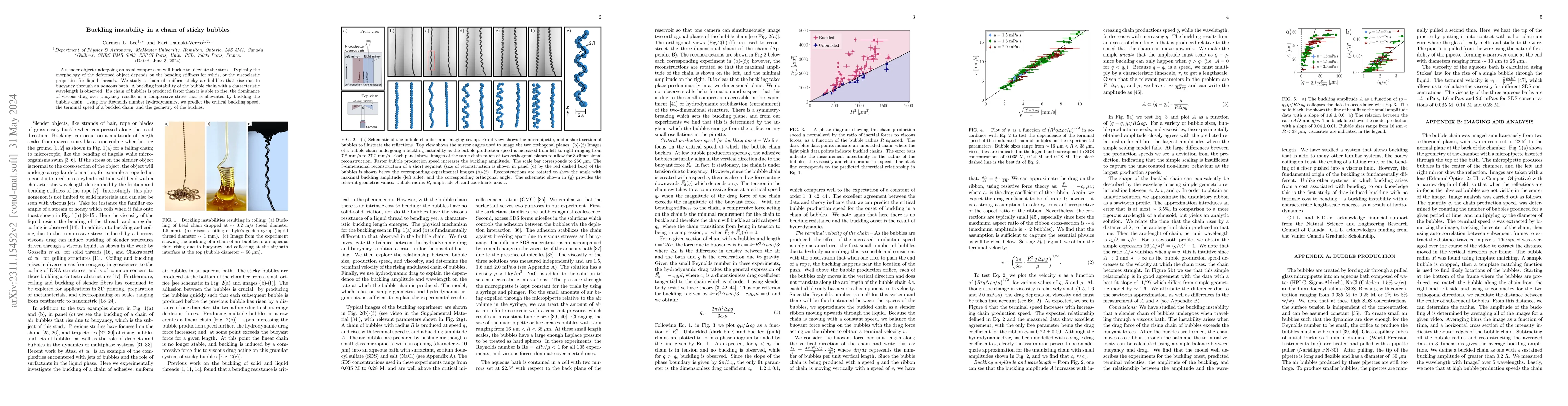 Thumbnail for Buckling instability in a chain of sticky bubbles